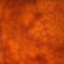 سنگ مرمر پرتغالی بی موج مشهد با نورپردازی   SOD42 #1